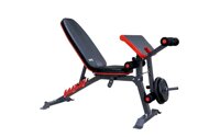 Ghế tập Gym đa năng DDS-1205