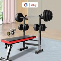 Ghế tập tạ đa năng ghế gập bụng ghê tập gym đa năng thiết bị thể thao có thể gấp gọn tiện lợi tạ đẩy ghế tạ đòn Giao hàn