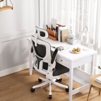 Ghế văn phòng, ghế lưng lưới công thái học ergonomic thông minh hỗ trợ giảm đau mỏi thắt lưng có đệm cao su