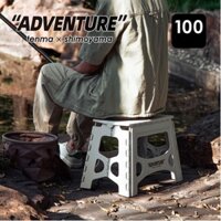 Ghế xếp nhựa mini du lịch Roticamp RG2601