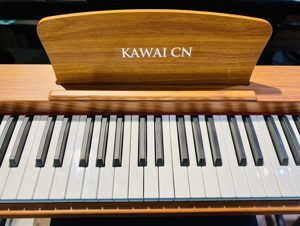 Ghế xoay CN-01