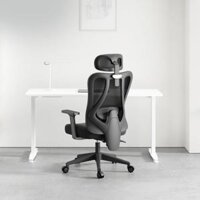 Ghế xoay công thái học Xiaomi HBADA E101BLA