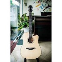 Ghita Acoustic Rex RD1C-NM -