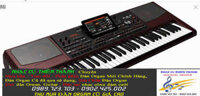 GIÁ BÁN ĐÀN ORGAN KORG PA1000 CŨ