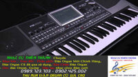 GIÁ BÁN ĐÀN ORGAN KORG PA900 CŨ