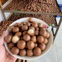 GIÁ BÁN HẠT MAC CA NỨT VỎ SẤY CHÍN  190/ 1kg