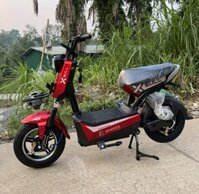 Giá Bán Xe đạp điện Xbull 4 Bình To 48V – 20 Ah  Mới Nhất năm 2024