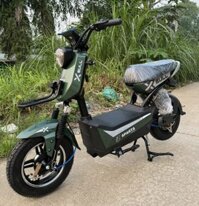 Giá Bán Xe đạp điện Xbull Bản đặc biệt