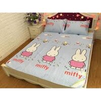 [Giá Buôn] CHIẾU ĐIỀU HÒA TENCEL 1M8 X 2M