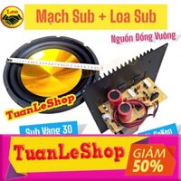 GIÁ COMBO GỒM 1 MẠCH SUB 2 SÒ SA KEN 22x28 NGUỒN ĐỒNG VUÔNG VÀ 1 CỦ LOA SUB 30 COI 51 TỪ 140
