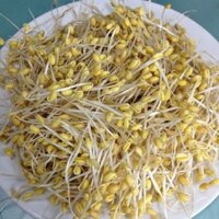 GIÁ ĐẬU NÀNH 150G (GIÁ HÀN QUỐC)