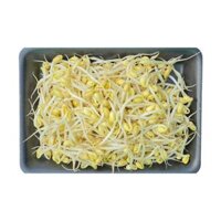 Giá đậu nành Yamoshi gói 150g (1 Gói)