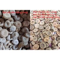 [Giá đầu nguồn] Hạt mã tiền rừng Tây Nguyên sấy khô 0.5-1kg cao cấp xoa bóp nhức mỏi xương khớp, đau lưng