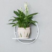 Giá Để Chậu Hoa Treo Tường Ban Công Đơn Giản Không Cần Đục Lỗ Giá Để Giỏ Hoa Treo Tường Phòng Khách