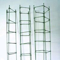Giá đỡ cây leo, hoa hồng, cà chua (ống phi 11, cạnh 28cm)