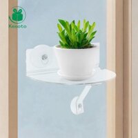 Giá đỡ cây trồng Kệ lưu trữ Cốc hút Trang trí nội thất Giá đỡ mạnh mẽ Giá đỡ đa năng
