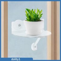 Giá đỡ cây trồng Kệ lưu trữ Cốc hút Trang trí nội thất Giá đỡ mạnh mẽ Giá đỡ đa năng