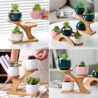 Giá đỡ chậu hoa 3 lớp NEX cho kệ sách Để bàn Khay tre chống biến dạng