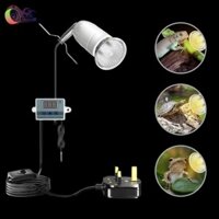 Giá đỡ đèn sưởi Giá đỡ đèn chắc chắn Đèn cố định cho động vật lưỡng cư Lồng gà con Vỏ rắn Hộp hỗ trợ