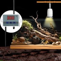 Giá đỡ đèn sưởi Giá đỡ đèn chắc chắn Đèn cố định cho động vật lưỡng cư Lồng gà con Vỏ rắn Hộp hỗ trợ