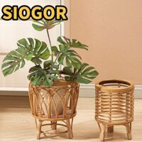 Giá đỡ hoa SIOGOR, Giỏ hoa Ins Plaited, Giá trị cao có chân Giá đỡ cây trồng Giỏ hoa