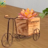 Giá đỡ hoa xe đạp HJKL Phòng khách đa năng ổn định
