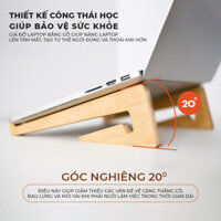 Giá đỡ laptop kệ kê macbook ipad phù hợp nhiều loại máy tính - PG01