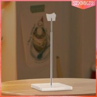 Giá đỡ màn hình búp bê Mini Giá đỡ búp bê trong suốt Mô hình trong suốt Khung hỗ trợ chống đỡ Búp bê trưng bày cho búp bê hành động Hình 1 / 6