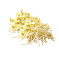 Giá Đỗ Sạch 0,5kg