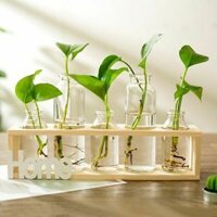 Giá gỗ cắm lọ hoa thuỷ tinh trang trí tiệc, đám cưới/ Kệ để cây thuỷ tinh