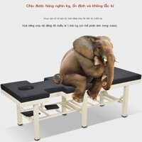 (Giá Hủy Diệt) Bàn massage điểm gốc y học Trung Quốc giường massage vật lý trị liệu giường chẩn đoá