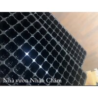 [Giá Hủy Diệt]  Combo 5 khay gieo hạt giâm cành 200 lỗi loại 1 chất lượng cao , hàng loại 1