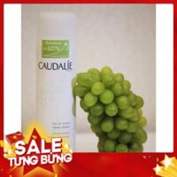 [Giá Hủy Diệt] Xịt khoáng Caudalie Grape Water 200ml Top2019