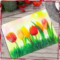 (Giá Không Tưởng) THỚT THỦY TINH KÍNH CƯỜNG LỰC SIÊU SẠCH