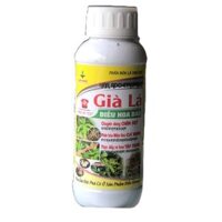 Gìa lá-Điều hoa bảo