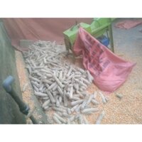 Giá Máy Tuốt Hạt Ngô Mini Gia Đình Năng Suất 1 Tấn/Giờ