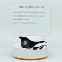 [Giá rẻ] Camera Dahua IP Poe 1230 MI1 (2MP ,có mic, hồng ngoại 50m, POE)