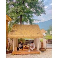 [Giá Rẻ] Cỏ Rơm Vàng - Cuộn 20 Mét Vuông - Cỏ Lợp Mái, Decor Trang Trí Cổng Chòi, Chống Nóng Hiệu Quả