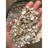 [GIÁ RẺ] hơn 3k/ngày - Hạt sành trắng, dạ dày khoẻ