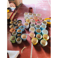 Giá rẻ vô địch - Combo 14 chậu trồng sen đá vỉ , sen đá mini