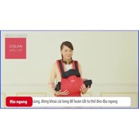 (Giá Rẻ)Địu trẻ em Aprica Colanhug AB Red đai eo bản rộng