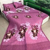 [⇣⇣⇣GIÁ SÀN⇣⇣⇣]  Bộ ga gối 3 món kích thước 1m2/1m4/1m6/1m8/2m2  mẫu 2020