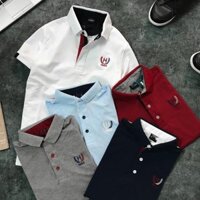 [giá sập sàn] áo thun nam vải cá sấu chất lượng (ảnh thật)