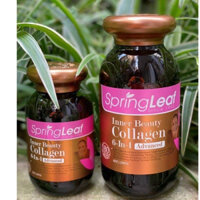 Giá Shock Viên uống Collagen Spring Leaf 180 viên (6 in 1)