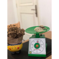 [GIÁ SỈ] 1 Tổ yến tự nhiên yến thô còn nguyên lông 7g (1 tổ size trung 7g)