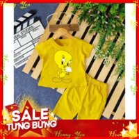(Gía sỉ ) Combo 3 Bộ bé gái hình con vịt màu vàng ôm chậu hoa cho bé từ 6-28kg .BDBG53. .