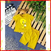 (Gía sỉ ) Combo 6 Bộ bé gái hình con vịt màu vàng ôm chậu hoa cho bé từ 6-28kg .BDBG53. .