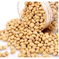Giá sỉ đậu nành sấy giòn ăn liền cây 5kg- 10 kg