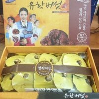 [Giá Sỉ] Hộp 1kg Nấm Linh Chi Hàn Quốc chính hiệu - Món quà cho sức khỏe