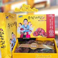 [GIÁ SỈ] Nấm Linh Chi Đỏ Hàn Quốc Hộp Giấy Cô Gái CAO CẤP [DATE MỚI]